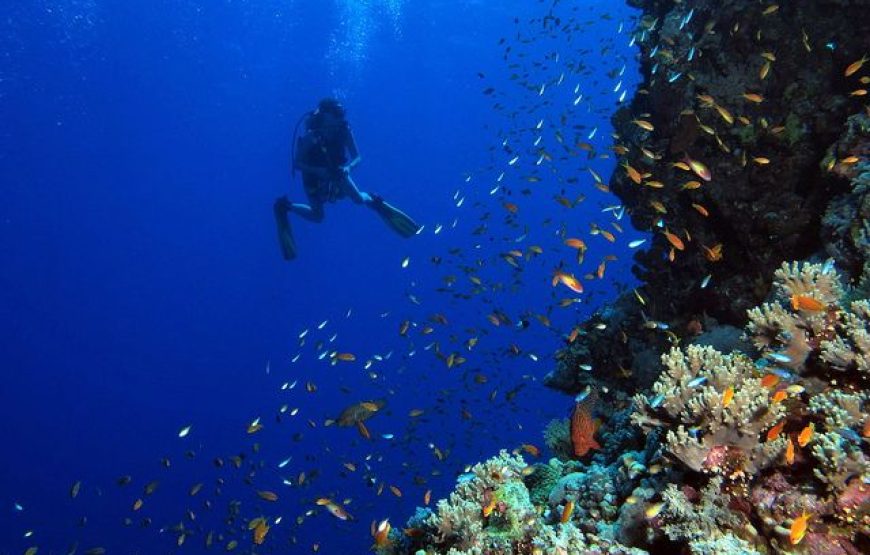 Package 10D/9N to Cairo, Nile Cruise & Red Sea Christmas & New Year