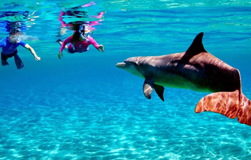 12 Days Luxury Package to Cairo, Luxor, Aswan, and Red Sea