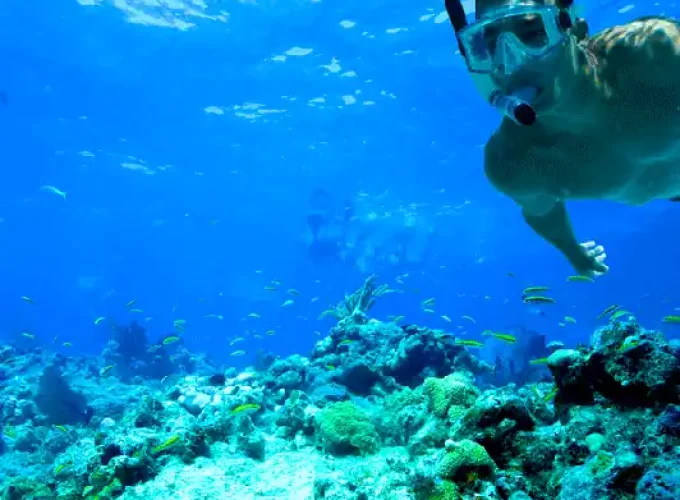 snorkling trip to tiran island