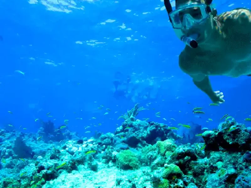 snorkling trip to tiran island