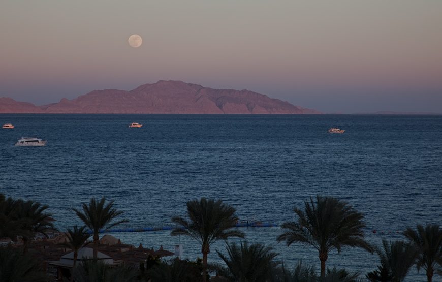 Snorkeling Trip to Tiran Island