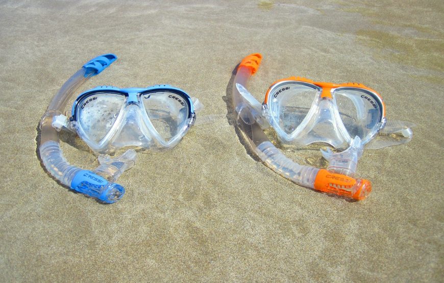 Snorkeling Trip to Tiran Island
