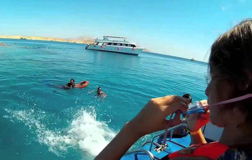 Snorkeling Trip to Tiran Island