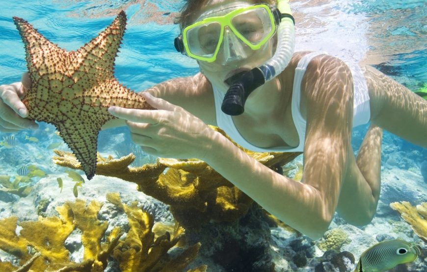 Snorkeling Trip to Tiran Island