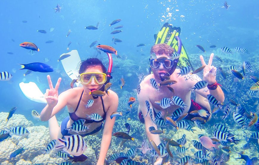 Snorkeling Trip to Tiran Island