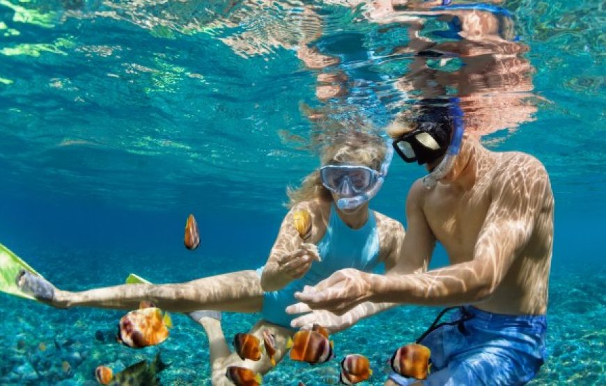 Snorkeling Trip to Tiran Island