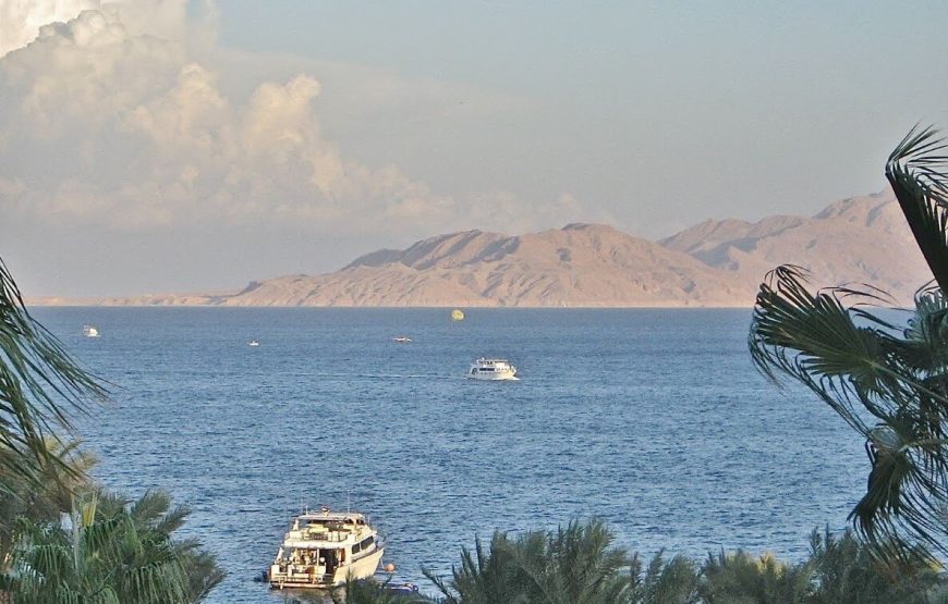 Snorkeling Trip to Tiran Island