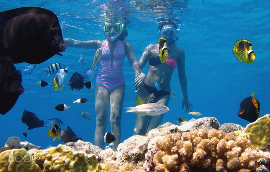 Snorkeling Trip to Tiran Island