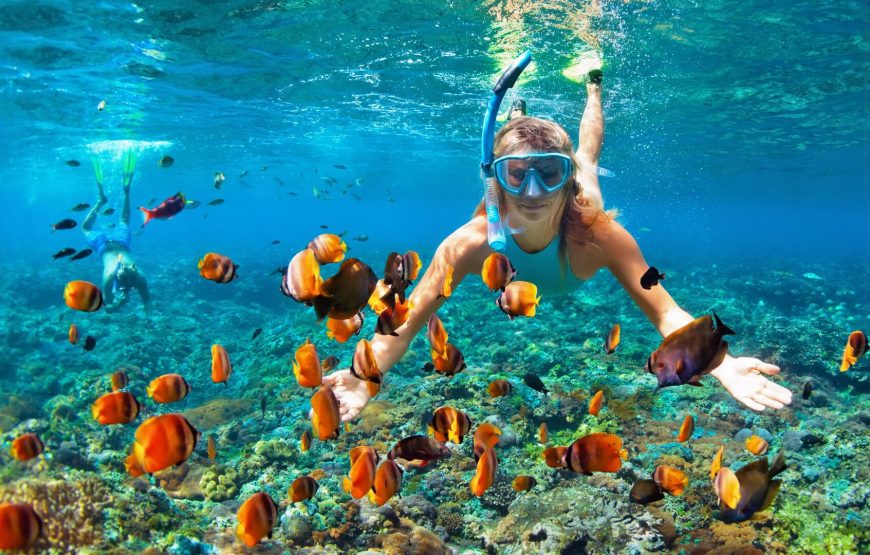 8 Days Cairo, Nile Cruise, Hurghada Wheelchair Tour Package