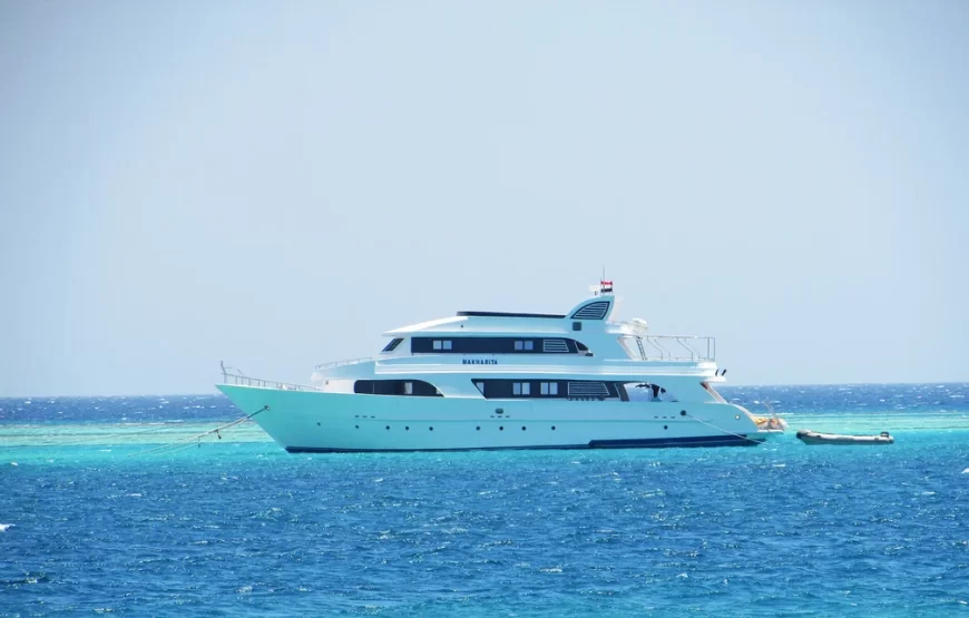 Snorkeling Trip to Tiran Island