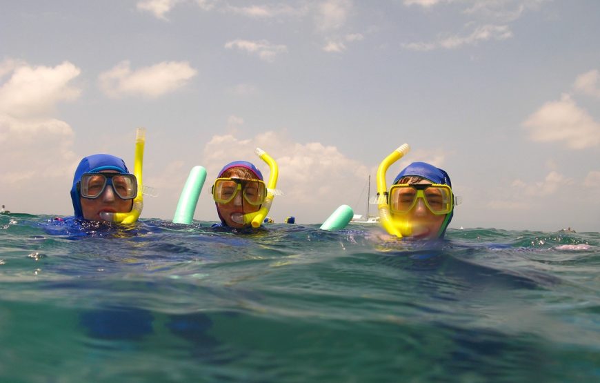 Snorkeling Trip to Tiran Island