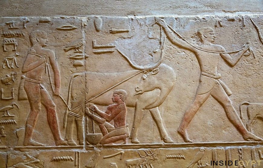 2 Days Trip to Giza and Cairo from Alexandria