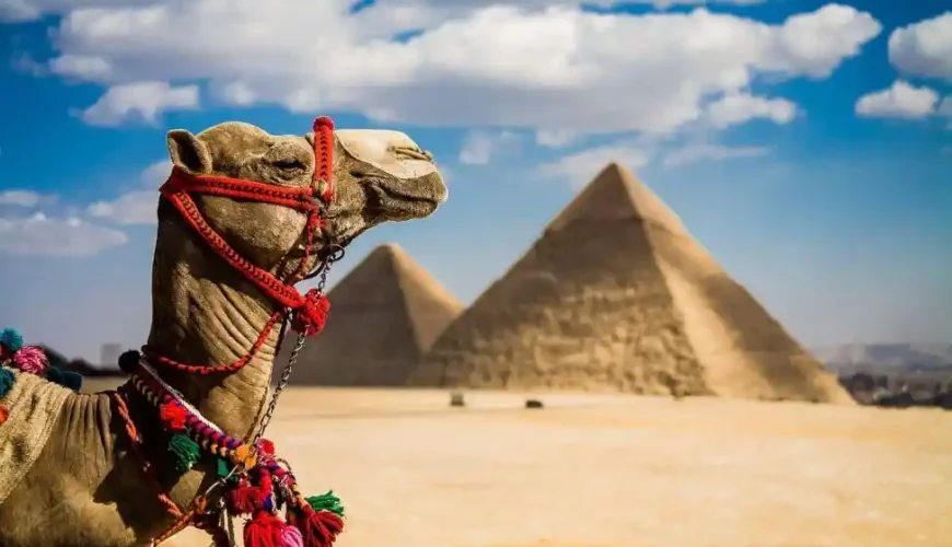 Egypt New Year Tours 2026