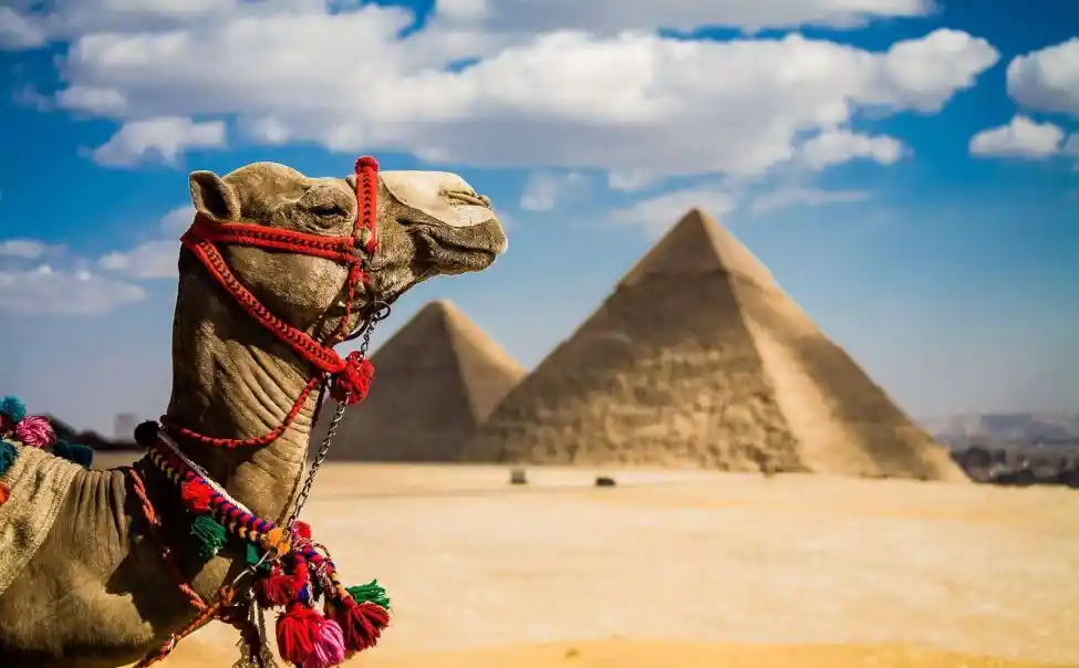 Egypt New Year Tours 2026